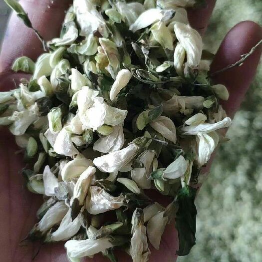 沧州槐树花 脱水特级槐花 特级槐花干货 饺子包子馅