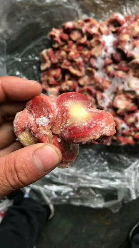  肉食大鸡胗