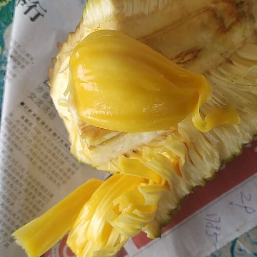 茂名 现在菠萝蜜大量上市，果靓，够甜