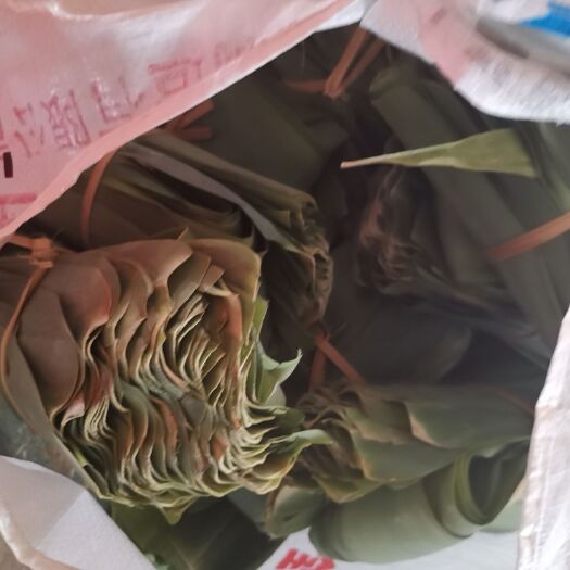 景洪市 新鲜的粽子叶
都是当天发货的