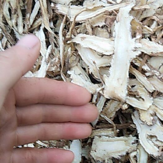 岷县 岷州当归片一棵树无硫全归片