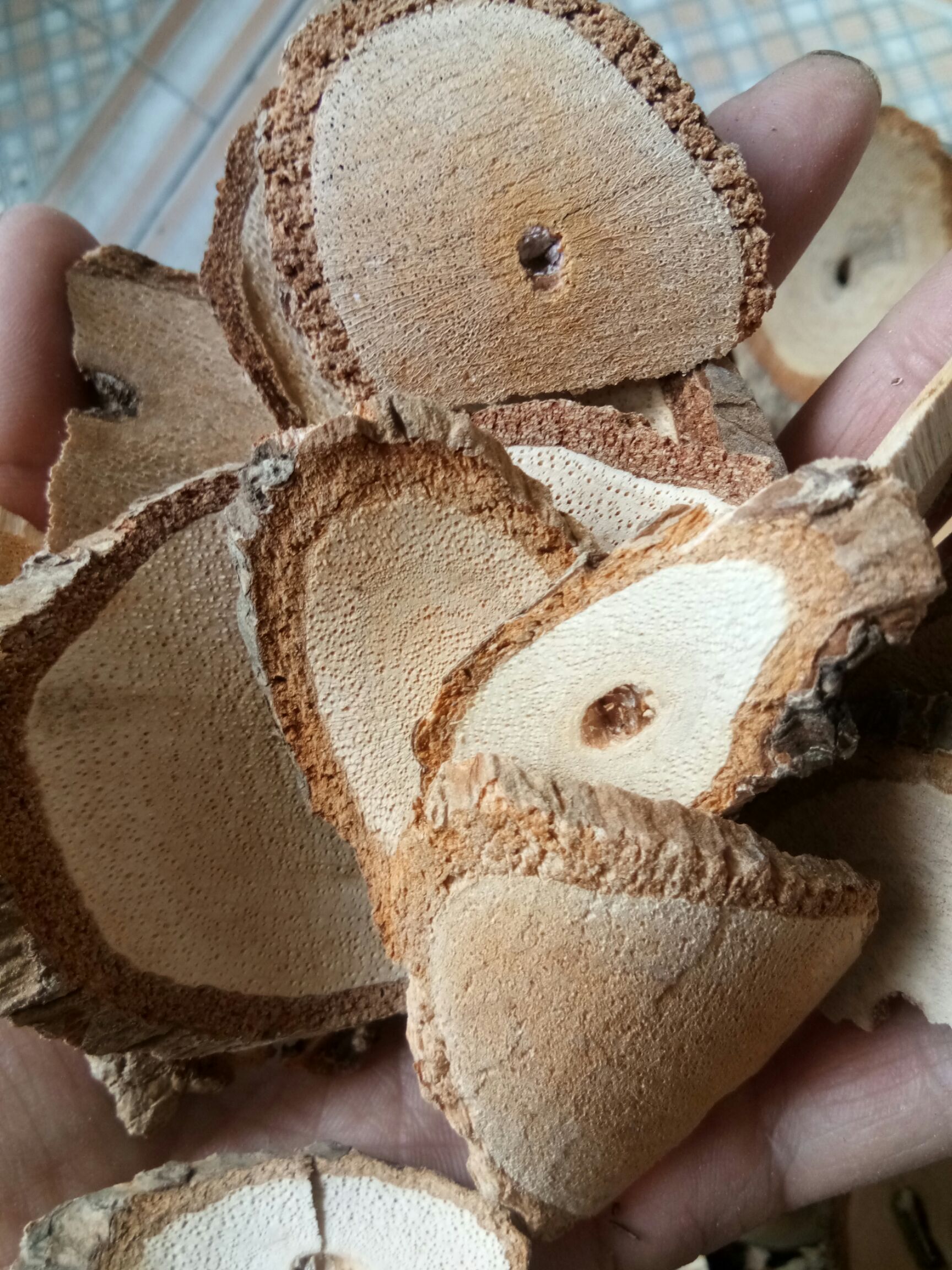 猕猴桃根  滕梨根无硫老根  正品 实拍图  包邮到家