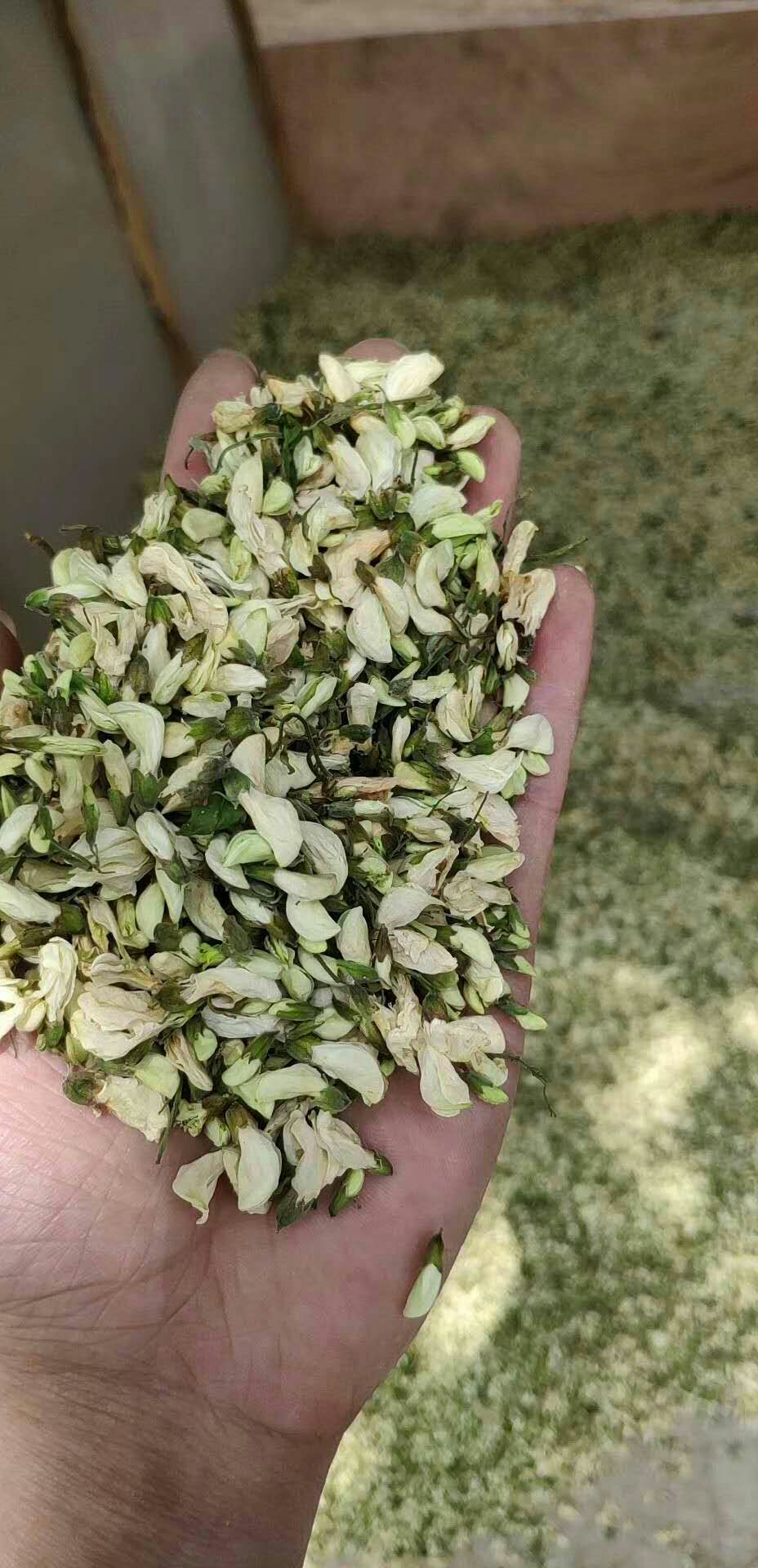 槐树花 脱水特级槐花 特级槐花干货 饺子包子馅