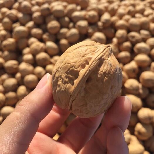 阿克苏市 产地直发，新疆阿克苏纸皮核桃，185纸皮核桃