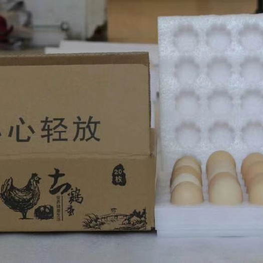东莞市塑料蛋托 100枚珍珠棉鸡蛋托+纸箱 中号