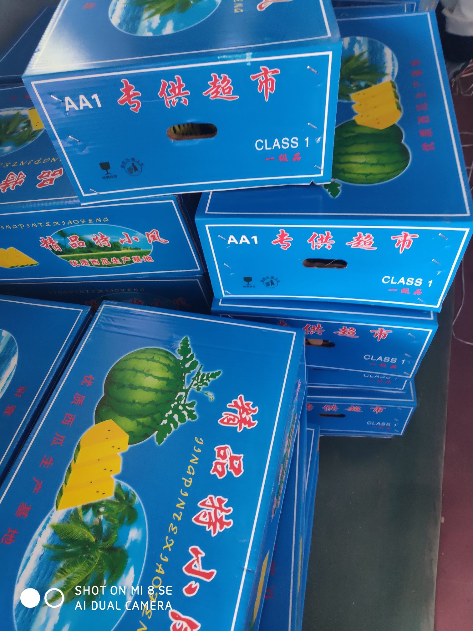 特小凤西瓜  特小凤。