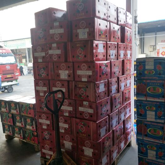 北京越南红心火龙果 特大（1斤以上）