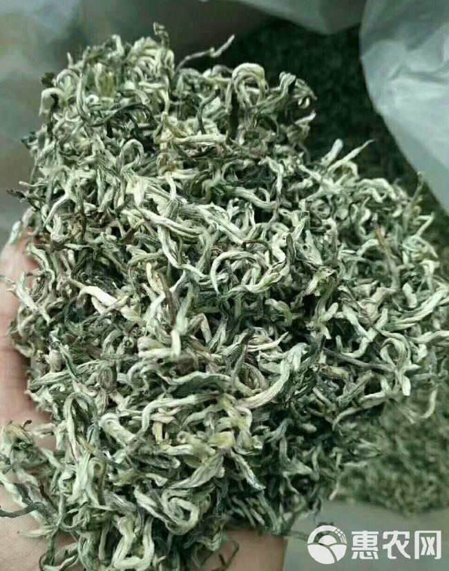  云南绿茶  云南绿茶口感好品质好   茶农直销