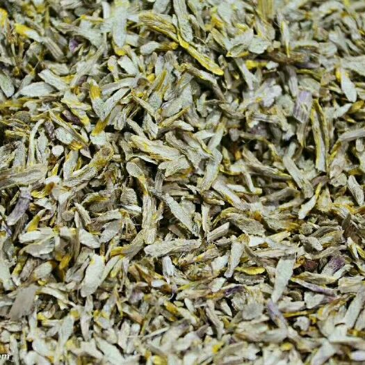 深圳铁皮石斛 