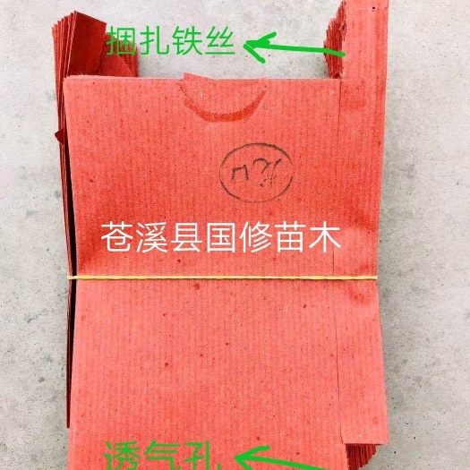 桃子套袋 套袋果袋 猕猴桃水果套果袋12*16 防病虫鸟害
