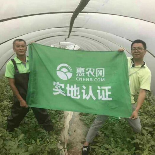 华容县 湖南岳阳大棚麒麟西瓜美都久甜2号