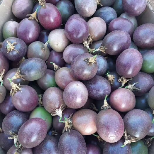 凭祥市 百香果3斤装