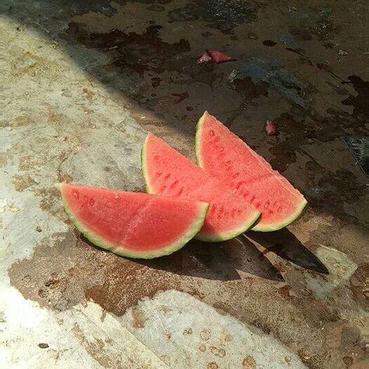 夏邑县 夏邑县8424麒麟西瓜大量上市，熟度保证，口感脆甜，