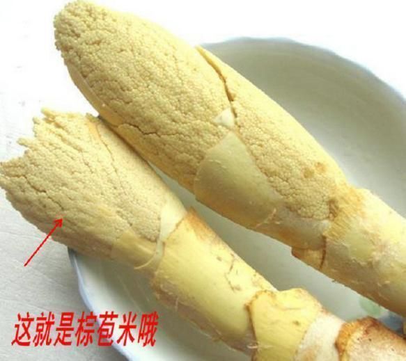 瑞昌市棕包 江西野生 货源充足