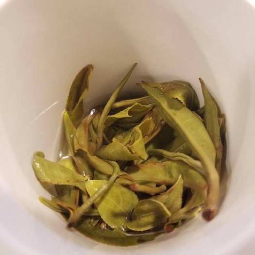 宾阳县 古树晒青   三百年树龄以上古树茶