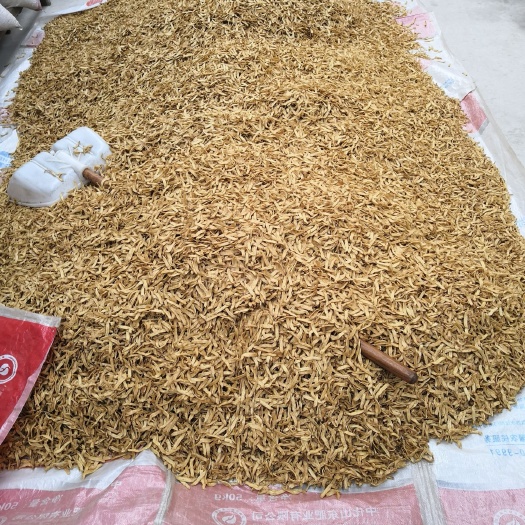 邯郸拉丝蛋白素肉