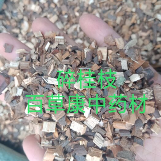 安国市 桂枝碎桂枝桂枝尖各种规格桂枝无硫中药材