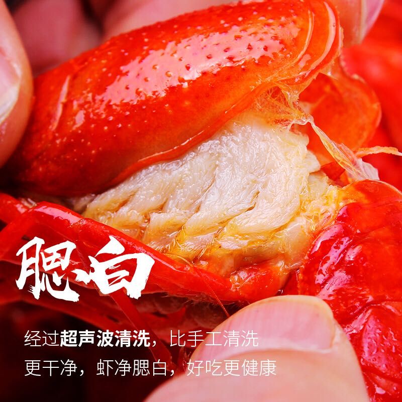  小龙虾潜江正宗小龙虾，蒜蓉，经典油焖麻辣，批发分销更优惠