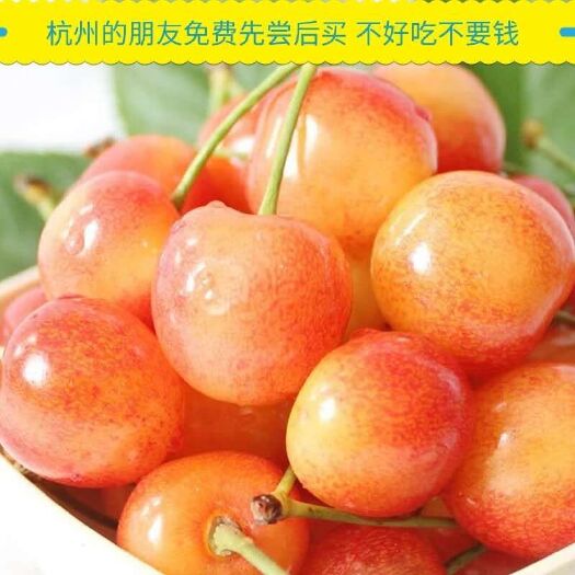 杭州 自家烟台大樱桃杭州专卖 采摘后第一时间预冷全程冷链