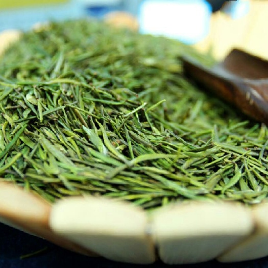 赵县宽叶费菜 养心草茶