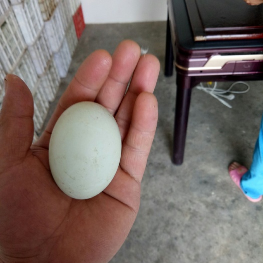 江陵县 麻鸭绿壳鸭蛋