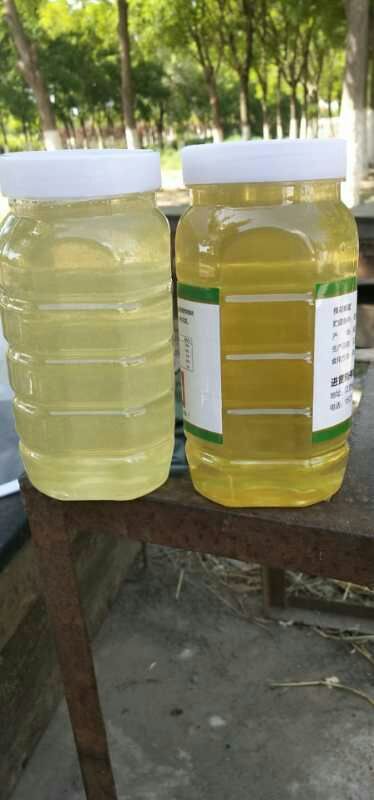 江山市洋槐蜂蜜  延安洋槐蜜