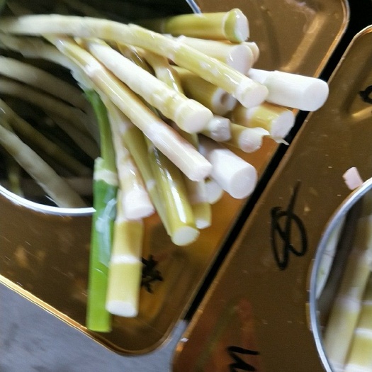南城县 小竹笋