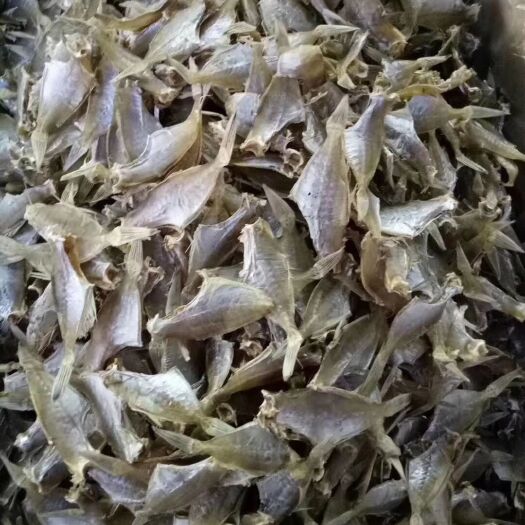 剥皮鱼干  煎炸吃是下饭的好伴侣。