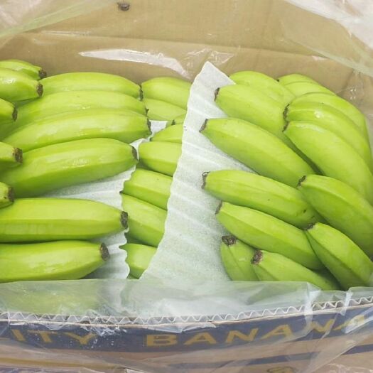 湛江巴西香蕉 湛江高品质靓焦
