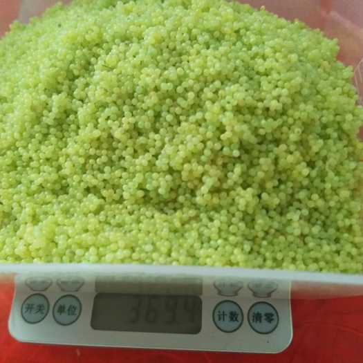 豆虫卵豆丹卵