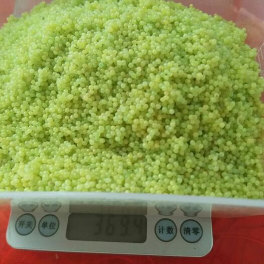 灌云县豆虫卵豆丹卵
