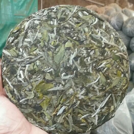 福安市白茶，牡丹王，白毫银针寿眉