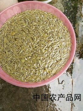  有机莼菜