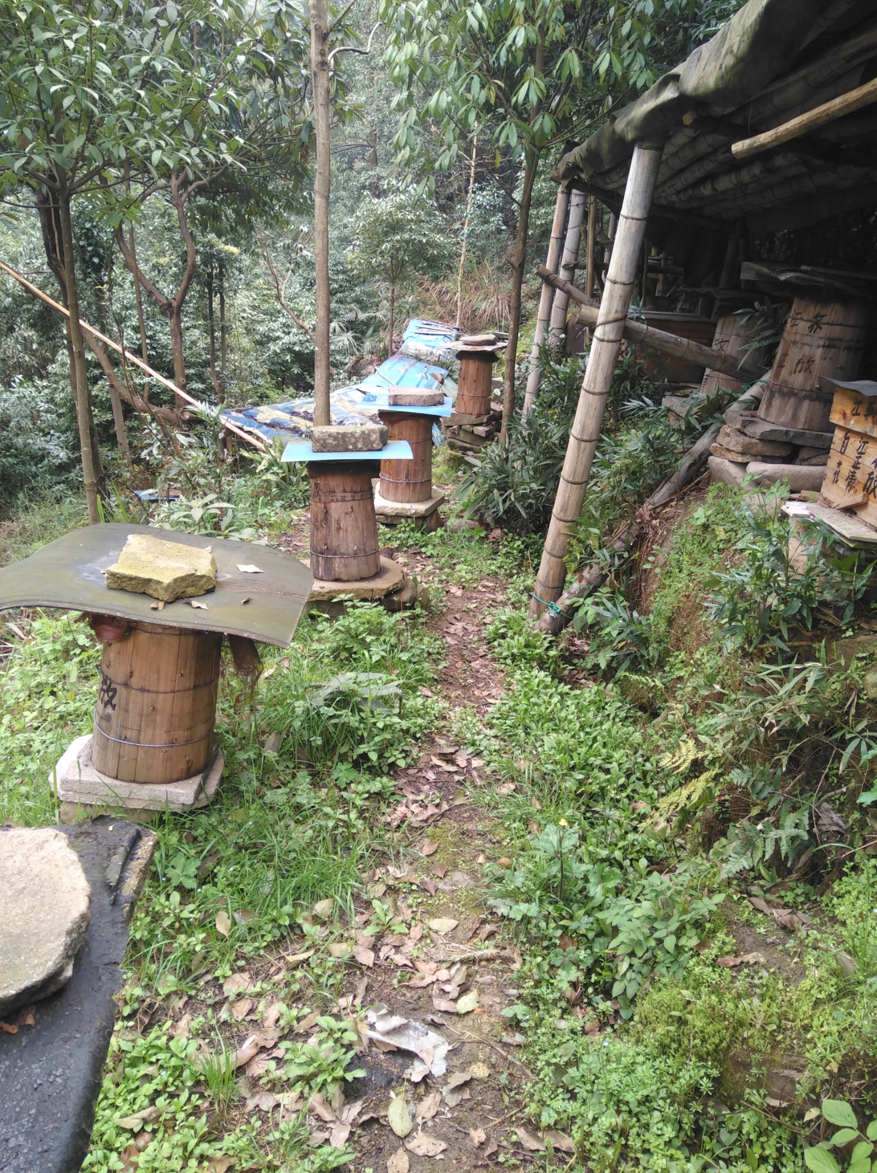 土蜂蜜价格150元一斤(土蜂蜜价格150元一斤贵吗)