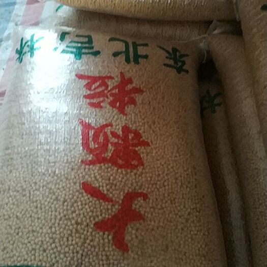 新沂市黑龙江大豆 生大豆 1等品