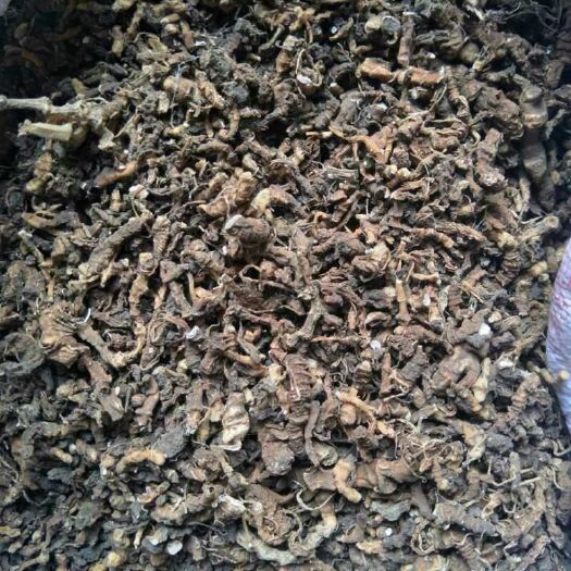 惠州云南滇重楼 四川大凉山干货虫楼螺丝虫马黄虫有五顿干货，需要收购的老板联系