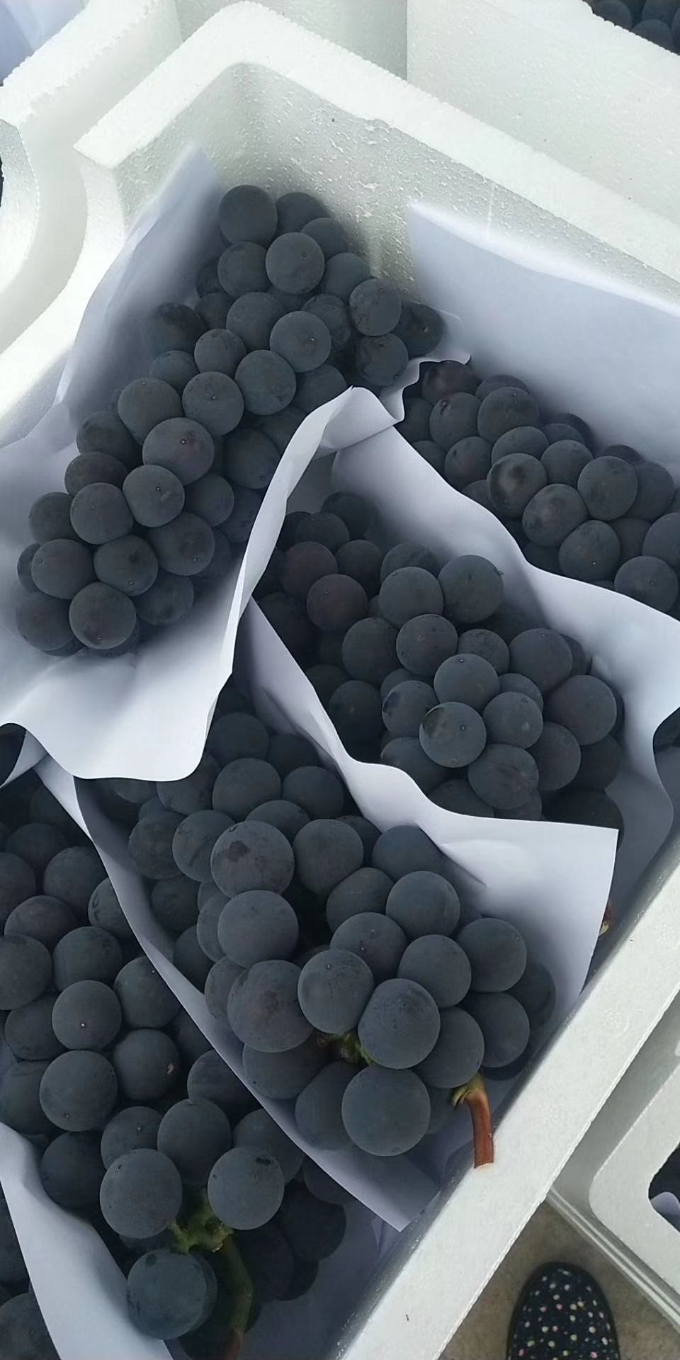 夏黑葡萄  夏天的黑美人口感杠杠的，