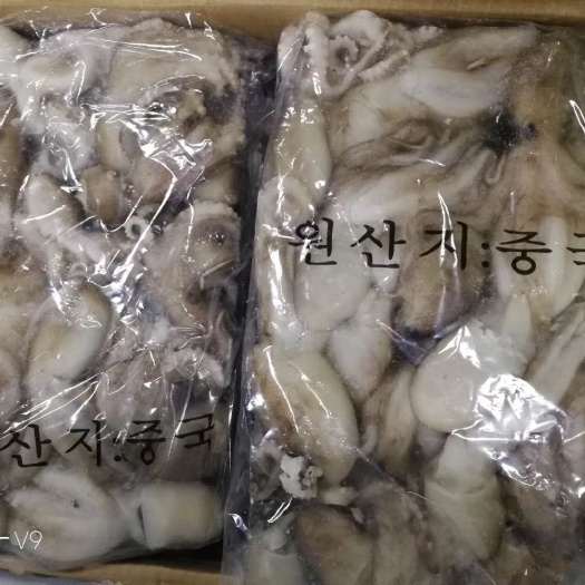 青岛 出口短腿八爪鱼