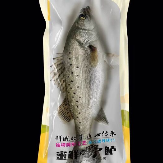 珠海 鲈鱼成品