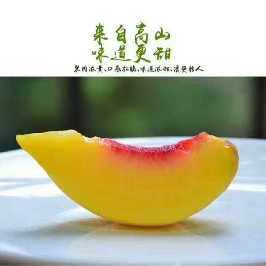 炎陵县炎陵黄桃 55mm以上 4两以上