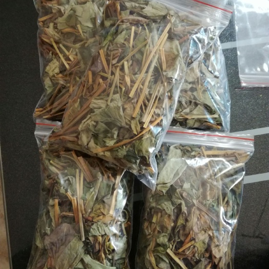安岳县鱼腥草茶 纯野生鱼腥草天然气候晒干！泡茶良品！