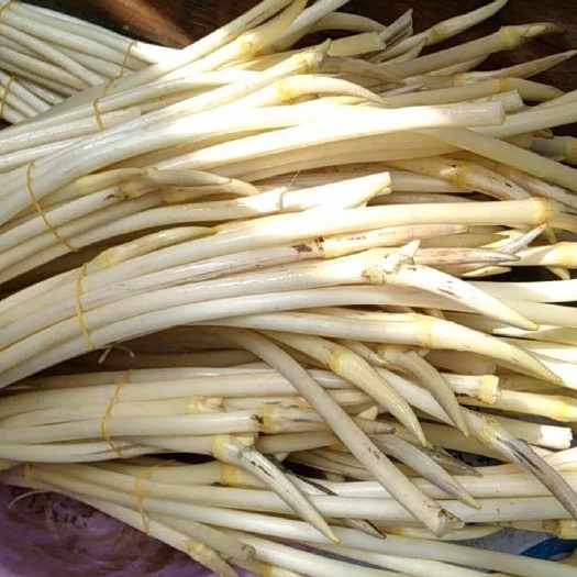 洪湖市 清水莲藕 藕带藕尖 原汁原味爽口 绿色食品