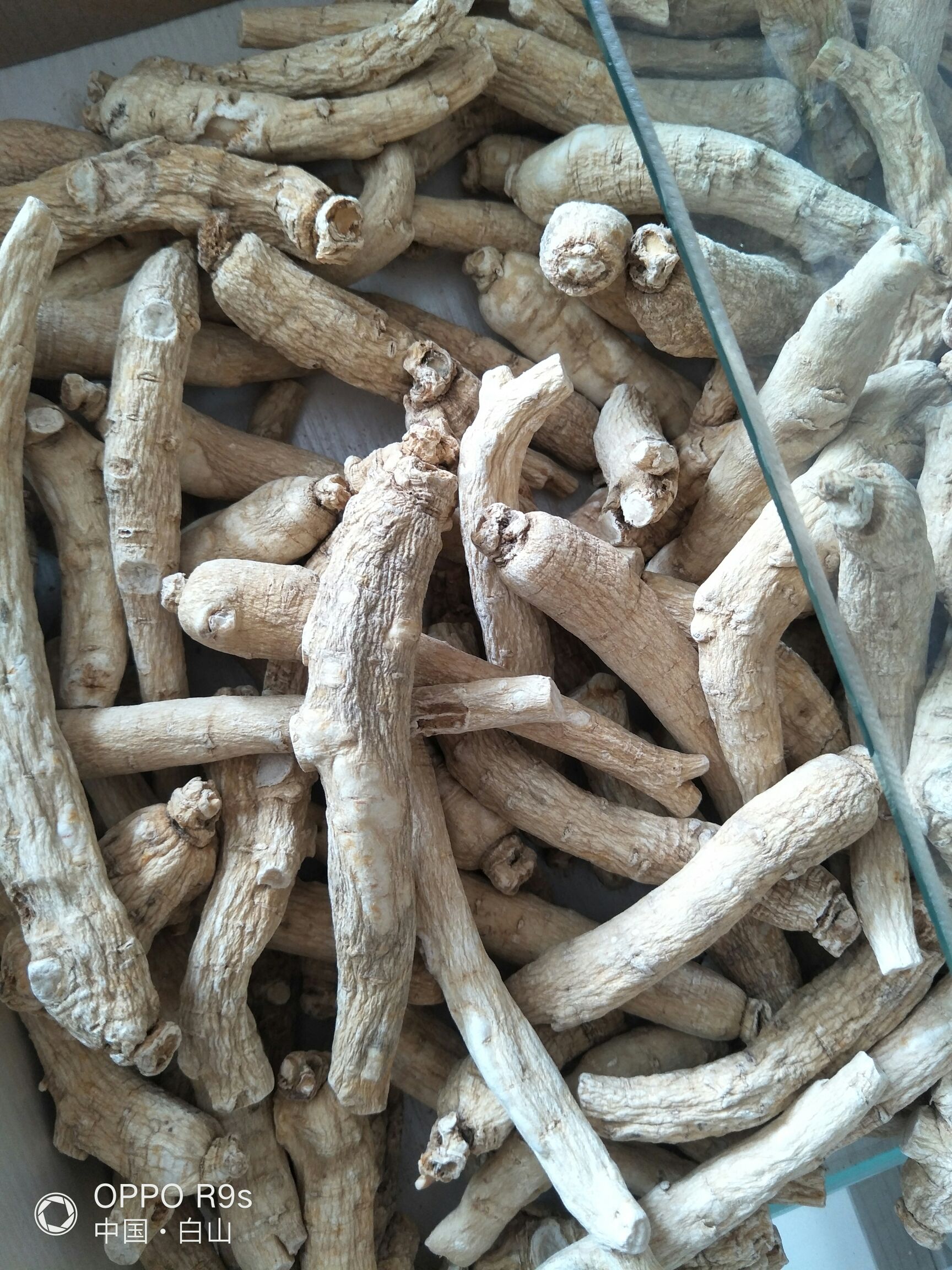  正宗长白山西洋参花旗参林下人参