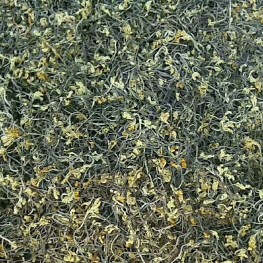 野 生優(yōu)質(zhì)蕨菜干，天然龍爪菜，一箱20斤招 代   理產(chǎn)