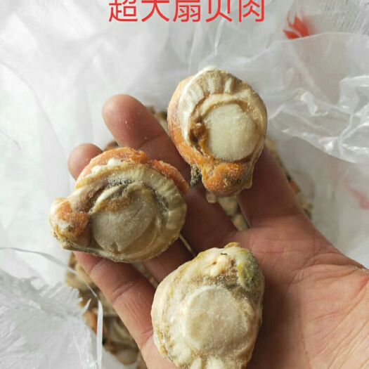 连云港超大扇贝肉，一斤30个左右