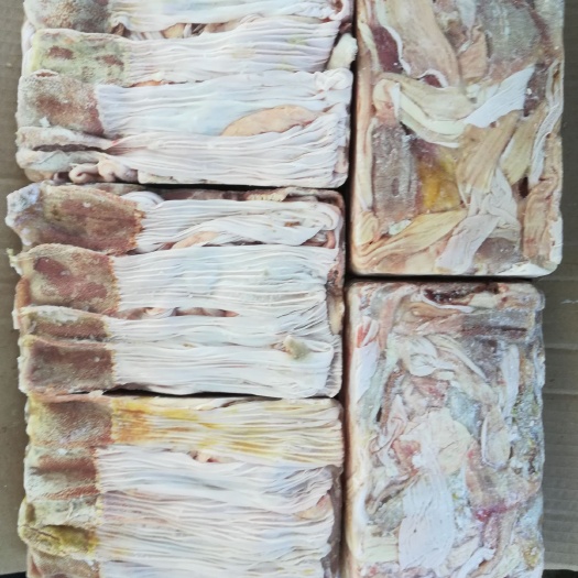 濮阳县鸭食带