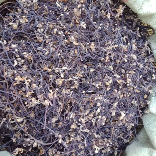 大连 优质野生蕨菜干天然绿色食品，营养丰富