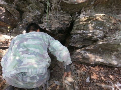 野生蜂蜜 原汁原味，剂，