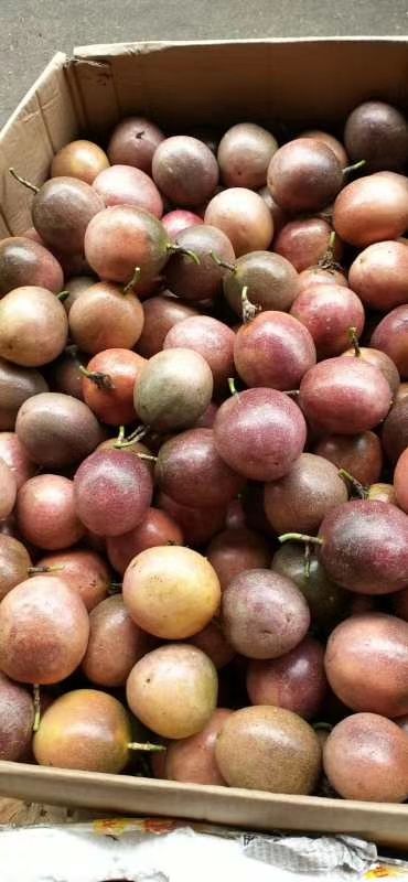  酸酸甜甜百香果，不吃不知道，吃了还想吃