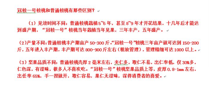  冠核一号核桃苗批发价格，优质核桃苗厂家基地直销